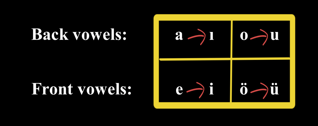 Turkish Vowel Harmony - EMİNE DAYAR LANGUAGE ACADEMY